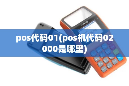 pos代码01(pos机代码02000是哪里)