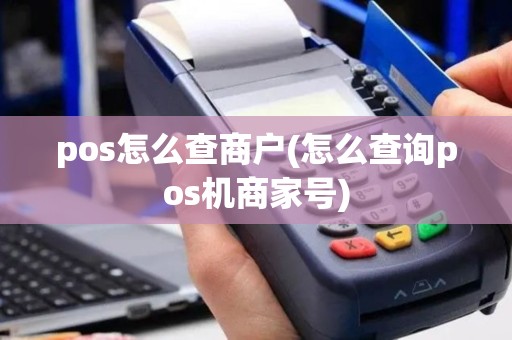 pos怎么查商户(怎么查询pos机商家号)