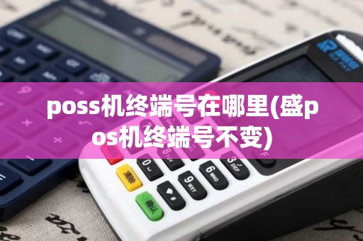 poss机终端号在哪里(盛pos机终端号不变)