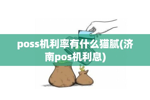 poss机利率有什么猫腻(济南pos机利息)