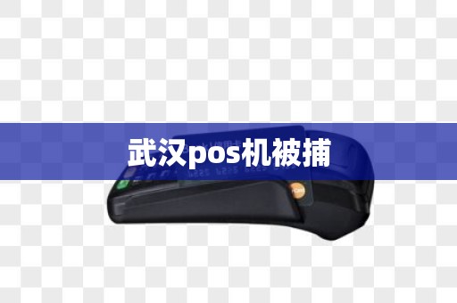 武汉pos机被捕