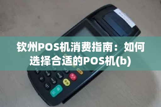 钦州POS机消费指南：如何选择合适的POS机(b)