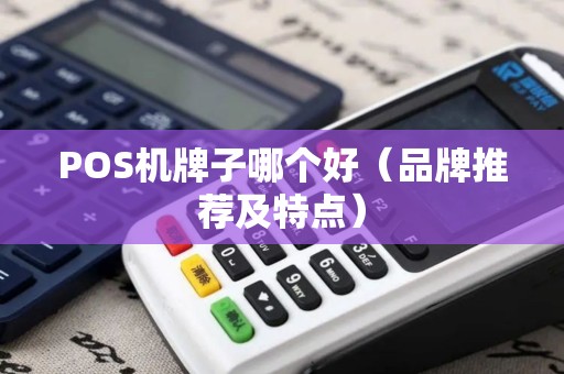 POS机牌子哪个好（品牌推荐及特点）