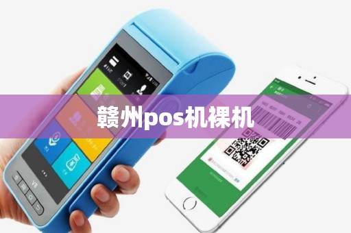 赣州pos机裸机