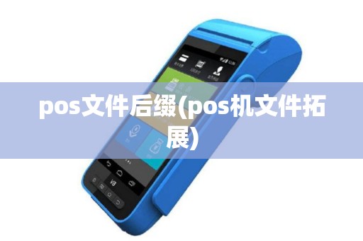 pos文件后缀(pos机文件拓展)
