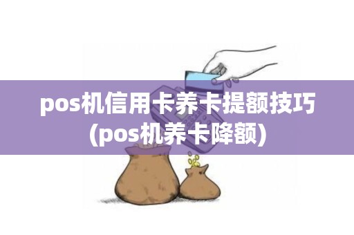 pos机信用卡养卡提额技巧(pos机养卡降额)