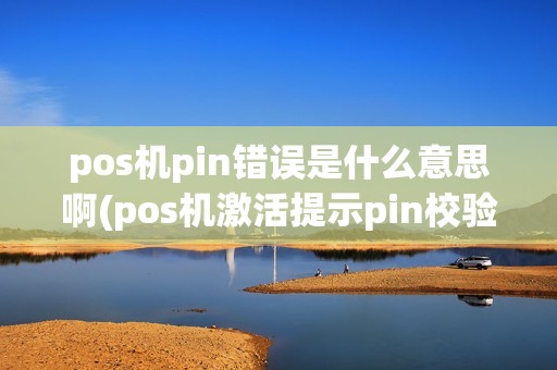 pos机pin错误是什么意思啊(pos机激活提示pin校验错误)