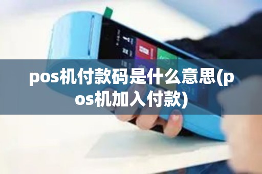 pos机付款码是什么意思(pos机加入付款)