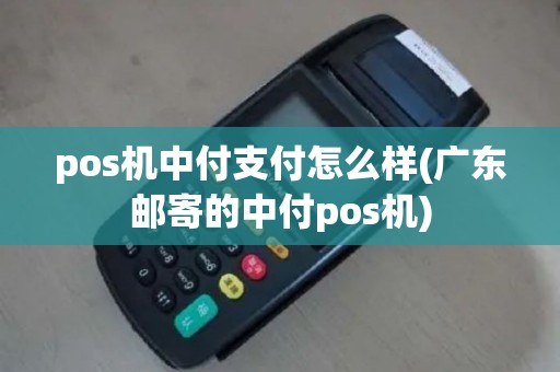 pos机中付支付怎么样(广东邮寄的中付pos机)