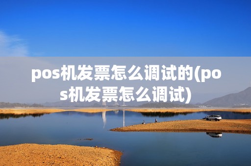 pos机发票怎么调试的(pos机发票怎么调试)