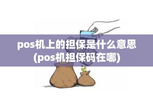 pos机上的担保是什么意思(pos机担保码在哪)