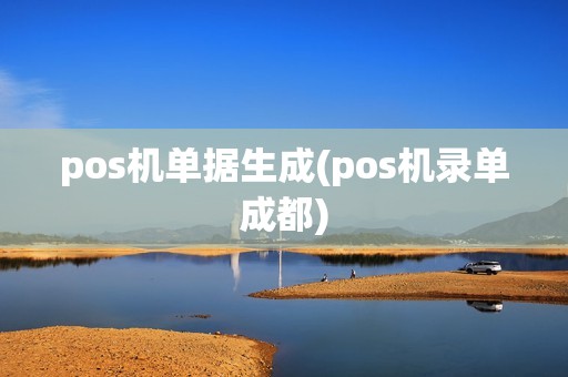 pos机单据生成(pos机录单成都)