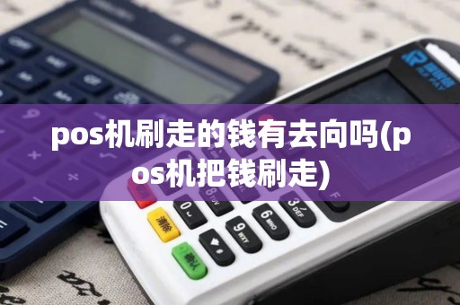 pos机刷走的钱有去向吗(pos机把钱刷走)