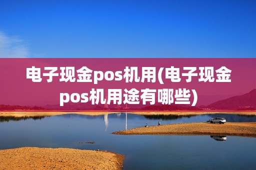 电子现金pos机用(电子现金pos机用途有哪些)