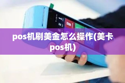 pos机刷美金怎么操作(美卡pos机)