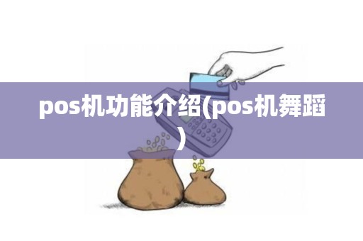 pos机功能介绍(pos机舞蹈)