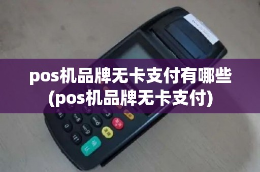 pos机品牌无卡支付有哪些(pos机品牌无卡支付)
