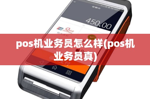 pos机业务员怎么样(pos机业务员真)