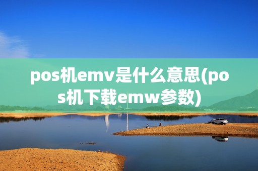 pos机emv是什么意思(pos机下载emw参数)