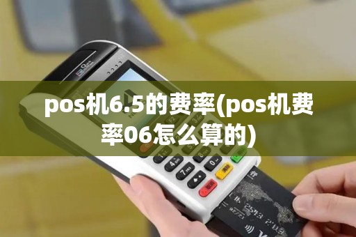 pos机6.5的费率(pos机费率06怎么算的)