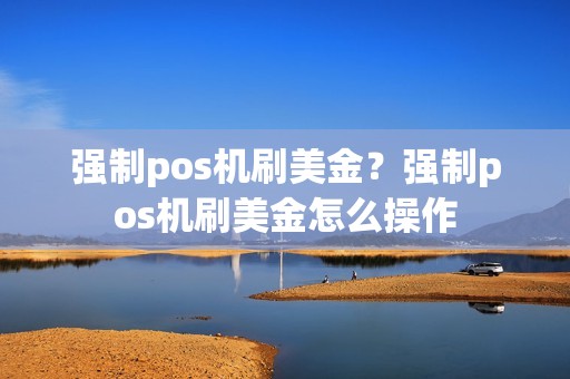 强制pos机刷美金？强制pos机刷美金怎么操作