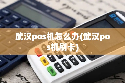 武汉pos机怎么办(武汉pos机刷卡)