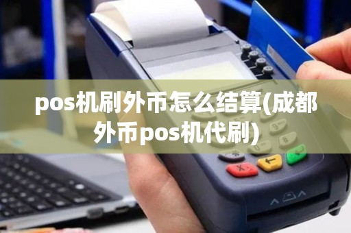 pos机刷外币怎么结算(成都外币pos机代刷)