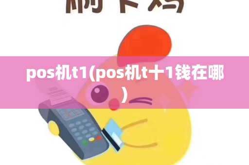 pos机t1(pos机t十1钱在哪)