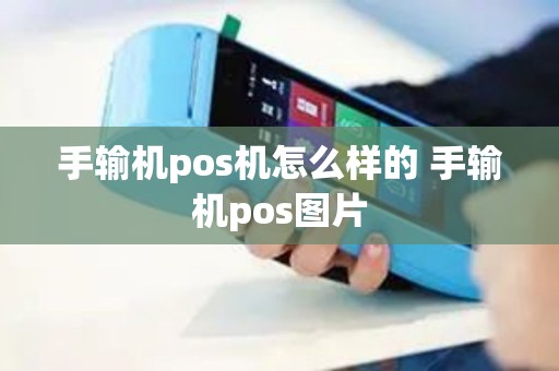 手输机pos机怎么样的 手输机pos图片