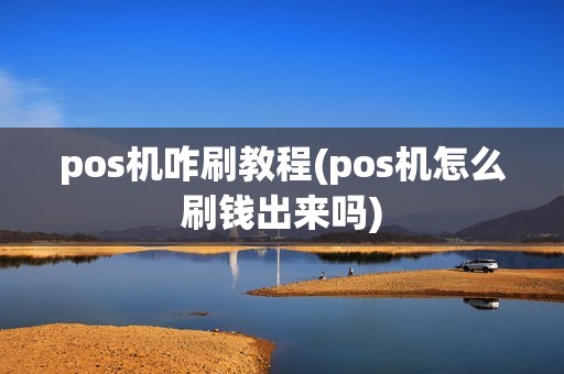 pos机咋刷教程(pos机怎么刷钱出来吗)