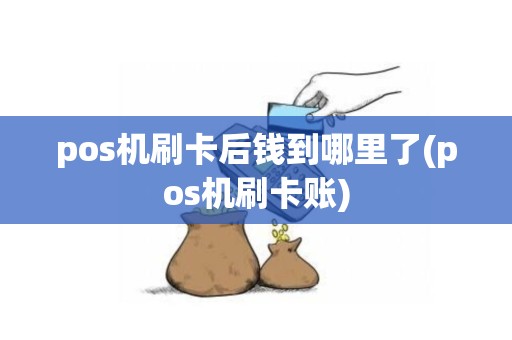 pos机刷卡后钱到哪里了(pos机刷卡账)