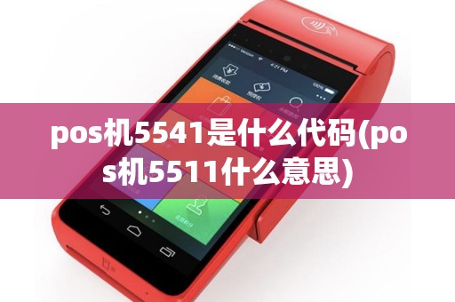 pos机5541是什么代码(pos机5511什么意思)