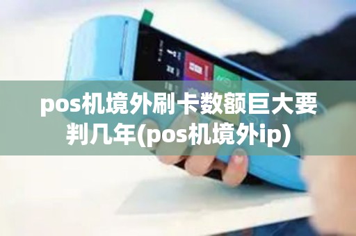 pos机境外刷卡数额巨大要判几年(pos机境外ip)