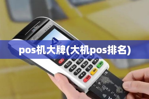pos机大牌(大机pos排名)