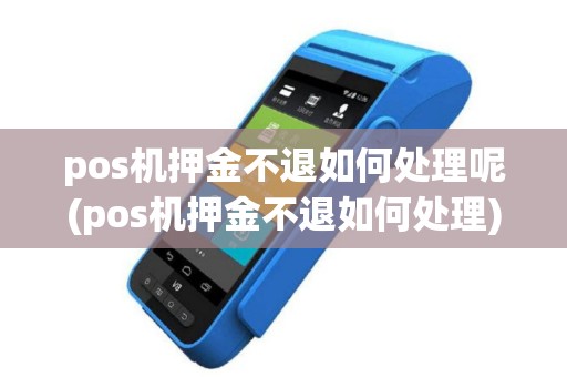 pos机押金不退如何处理呢(pos机押金不退如何处理)