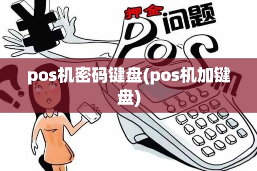 pos机密码键盘(pos机加键盘)