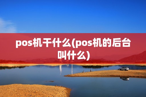 pos机干什么(pos机的后台叫什么)