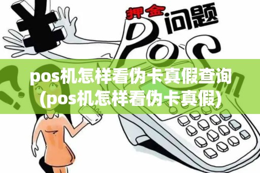 pos机怎样看伪卡真假查询(pos机怎样看伪卡真假)