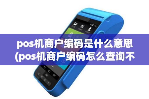 pos机商户编码是什么意思(pos机商户编码怎么查询不到)