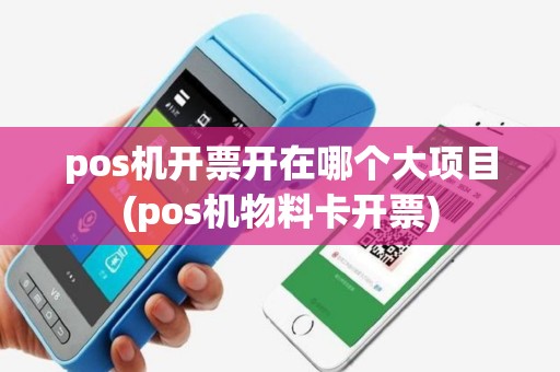 pos机开票开在哪个大项目(pos机物料卡开票)