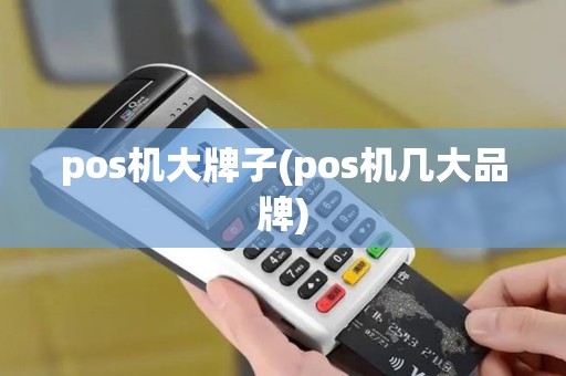 pos机大牌子(pos机几大品牌)