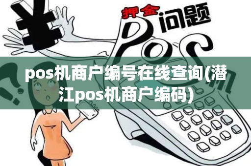 pos机商户编号在线查询(潜江pos机商户编码)
