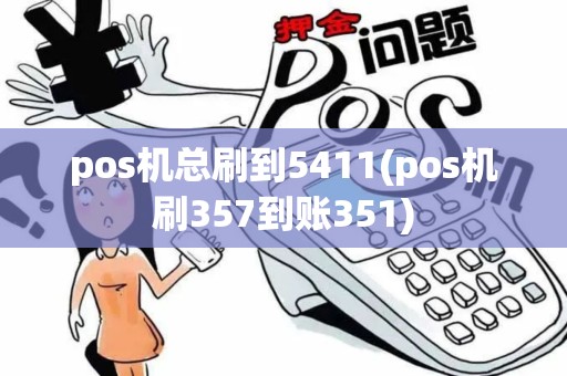pos机总刷到5411(pos机刷357到账351)