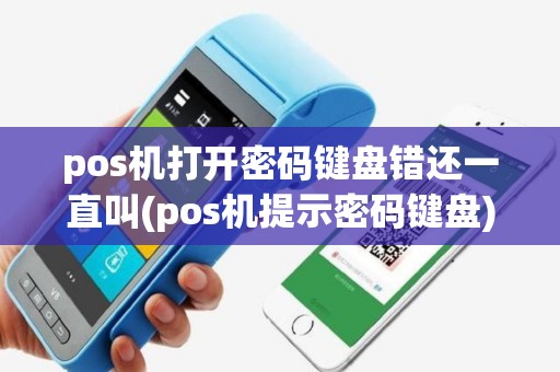 pos机打开密码键盘错还一直叫(pos机提示密码键盘)