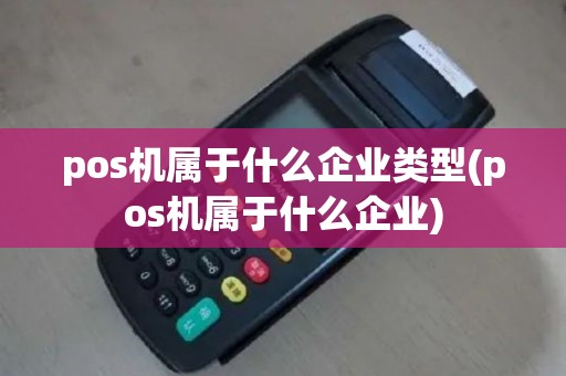 pos机属于什么企业类型(pos机属于什么企业)