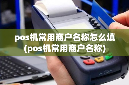 pos机常用商户名称怎么填(pos机常用商户名称)