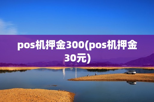pos机押金300(pos机押金30元)