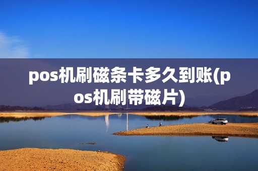 pos机刷磁条卡多久到账(pos机刷带磁片)