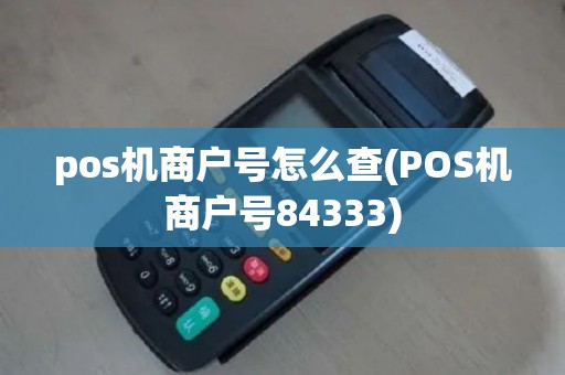 pos机商户号怎么查(POS机商户号84333)