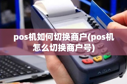 pos机如何切换商户(pos机怎么切换商户号)